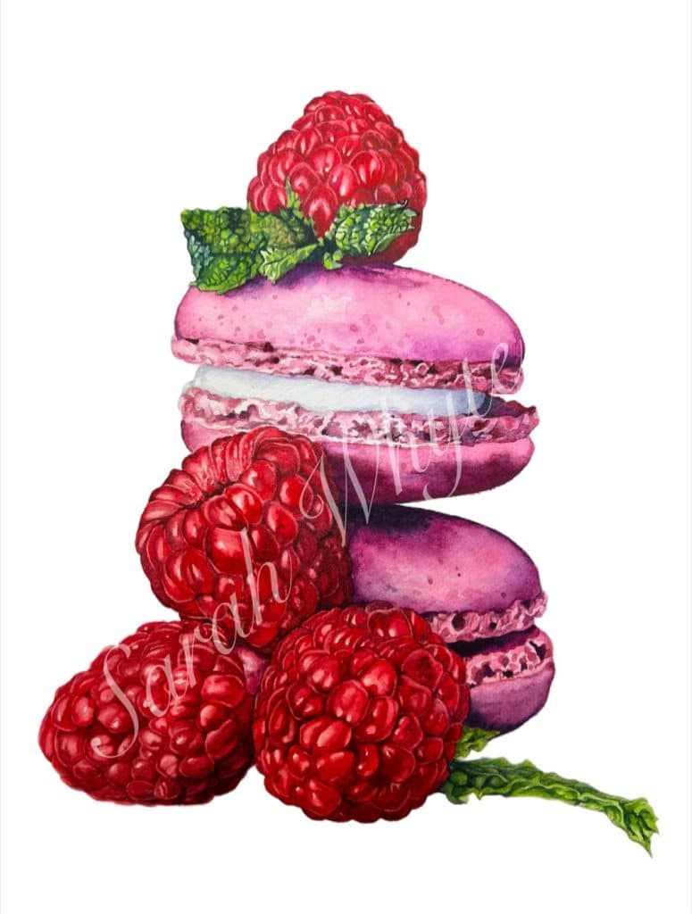 A stack of two raspberry macarons on a white background, surrounded by fresh red raspberries.