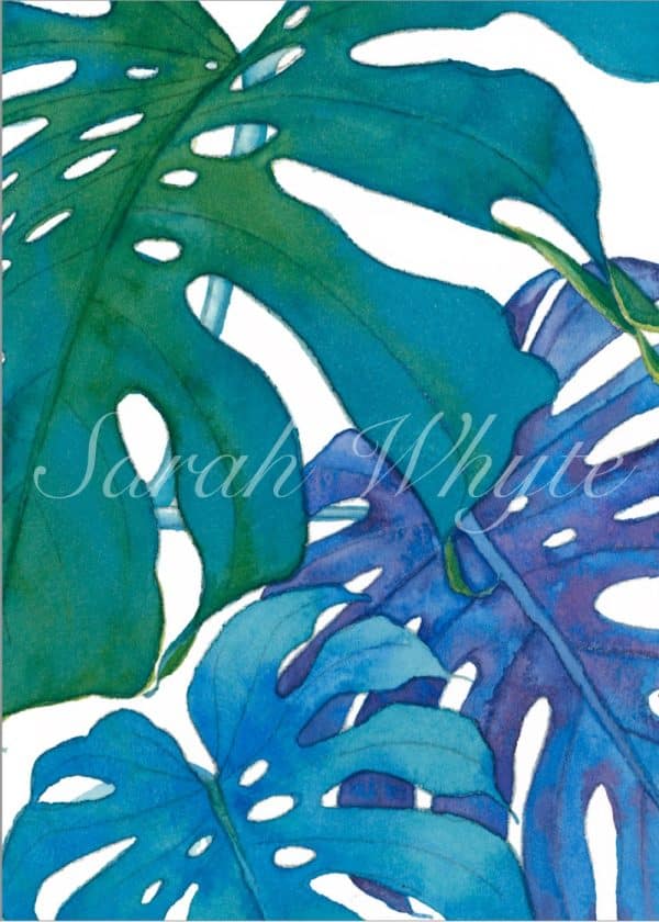 A macro view of three monstera leaves in shades of blue, green, and purple.