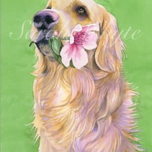 A Golden Retriever dog on a spring green background, holding a flower in its teeth, looking up.