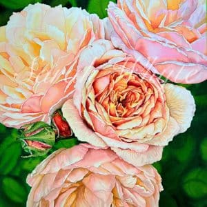 Four roses and two rosebuds in yellows, pinks, and reds, on a background of blurred greens