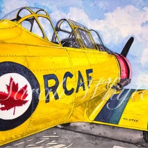 a partial view of the 1952 Harvard Mark IV airplane with bright yellow paint and an RCAF rondelle.
